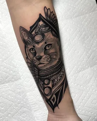 Татуировка кот | Cool Tattoo