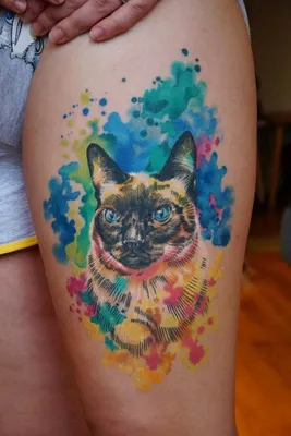 Татуировка в виде кошки. Женские татуировки на боку. Татуировки кошка.  Салон тату и пирсинга Эво. - YouTube