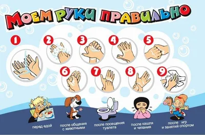Инструкция и правила мытья рук в общепите по санпину