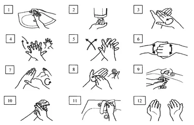 Как правильно мыть руки скачать инструкцию. Дезинфекция рук в картинках.