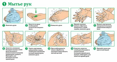 Методические указания МУ 3.5.1.3674-20 \"Обеззараживание рук медицинских  работников и кожных покровов пациентов при оказании медицинской помощи\"  (утв. Федеральной службой по надзору в сфере защиты прав потребителей и  благополучия человека 14 декабря ...