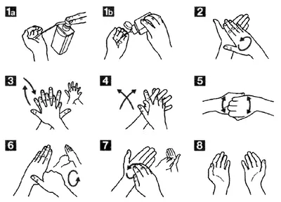 Как правильно мыть руки: советы в картинках