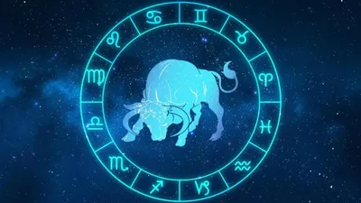 Чего ожидать от знака зодиака Телец после расставания | Гороскопы, знаки  зодиака | Дзен