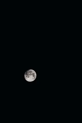 Скачать 800x1200 луна, спутник, космос, ночь, темная обои, картинки iphone  4s/4 for parallax