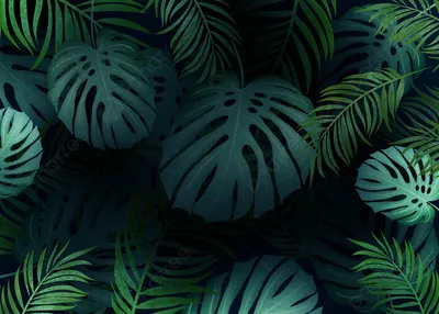 темно зеленый фон, пальмовые листья, растение, деревья фон картинки и Фото  для бесплатной загрузки