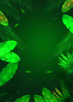 Зеленые темно зеленые листья фон Обои Изображение для бесплатной загрузки -  Pngtree