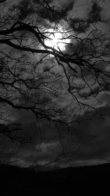 Тёмные обои | Moon photography, Dark black wallpaper, Dark photography |  Dark black wallpaper, Dark landscape, Iphone background art