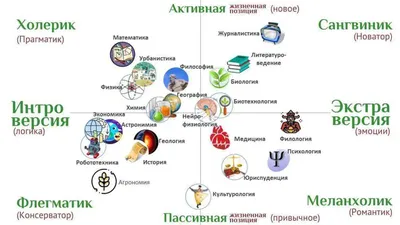 Темперамент — что это, его типы, особенности и как определить свой  темперамент - Как создать сайт