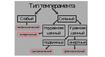 Темперамент и профессия. Влияние на выбор