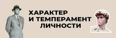 Темперамент, типы темперамента реферат по психологии | Сочинения Психология  | Docsity