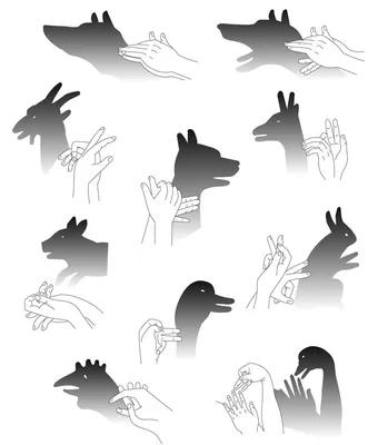Иллюстрация 14 из 19 для Тени животных своими руками | Лабиринт - книги.  Источник: Margo7X