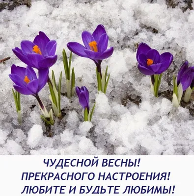 Сумочки ручной работы: Чудесной, теплой весны в душе и солнечного  настроения!