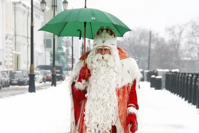 Россиян ожидает аномально теплая зима — Вильфанд объяснил почему | РБК Life