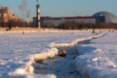 Ученые не исключили аномально теплой зимы в Европе - Российская газета