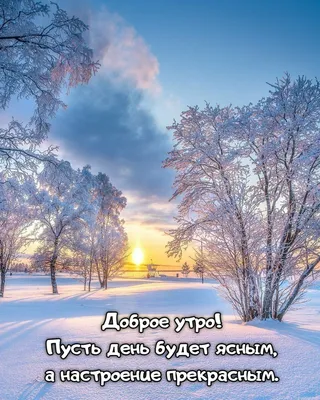 Такой аномально тёплой зимы в Тверской области не было сто лет