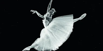 Краткий экскурс в историю современного балета | IngoDance | Дзен