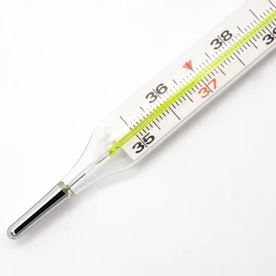 Электронный термометр для измерения базальной температуры, Longevita •  Купить в Киеве, цены в интернет-магазине Medtechnika: отзывы и  характеристики