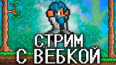 ТЕРРАРИЯ, Но ЭТО ПЕРВЫЙ СТРИМ С ВЕБКОЙ! TERRARIA - YouTube