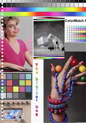 Printer Color Test | PDF
