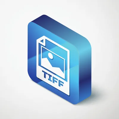 What is a TIFF File? Everything You Need to Know | PetaPixel