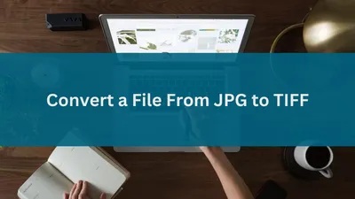 How to Convert a File Format From JPG to TIFF - OpenAsset