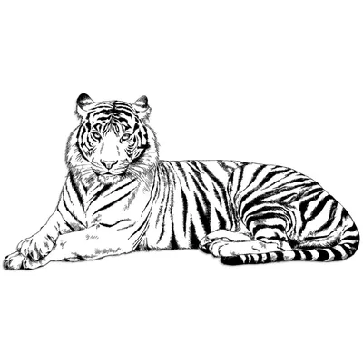 Фетр с рисунком принтом | Новогодний принт рисунок шарик из фетра \"Тигр  2022\" тигренок в шапке | Чудесина — все для хендмейда
