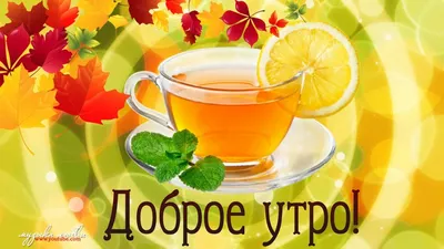 доброеутро #сдобрымутром #утро #fyp #музыка #осень #добро | TikTok