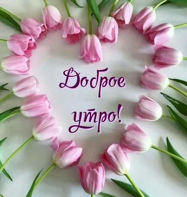 С добрым утром! ❤️🤗💖 #видеооткрытки #утродоброе | TikTok