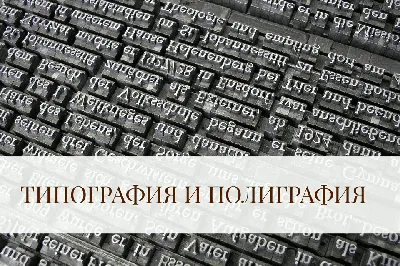 Типография с высокой прибылью / Бизнесу 12 лет в СПб | Купить бизнес за 5  000 000 ₽