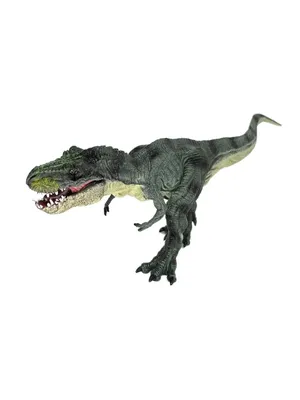 Тираннозавр Раскопай скелет Набор 4M - купить в Москве с доставкой, цена