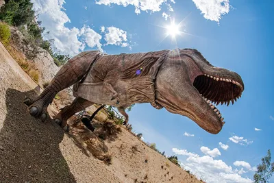 All About Nature динозавр Тираннозавр Рекс – YOYO