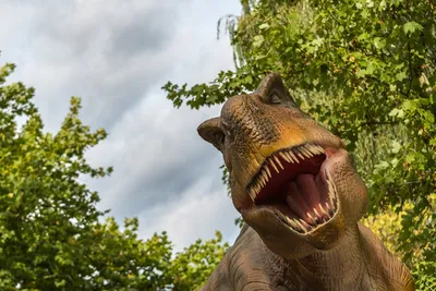Фигурка динозавра Collecta Тираннозавр купить по цене 634 ₽ в  интернет-магазине Детский мир