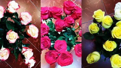 Картинки 8 марта красивые поздравления тюльпаны (43 фото) » Юмор, позитив и  много смешных картинок