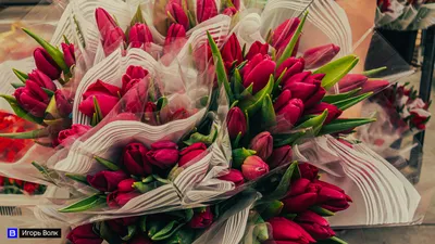 Открытка - тюльпаны на 8 марта, с наилучшими пожеланиями