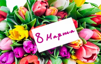 Тюльпаны в шляпной коробоке на 8 марта купить с доставкой по Томску: цена,  фото, отзывы.