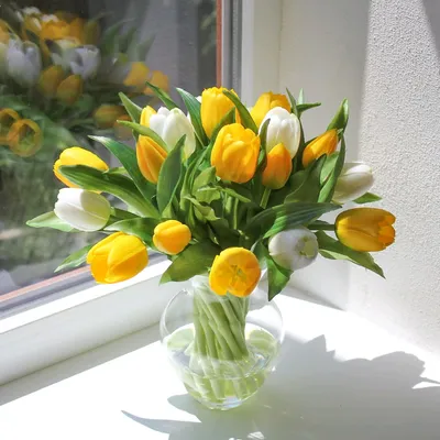 Подари мне немного весны»: пять причин приобрести тюльпаны в вазе