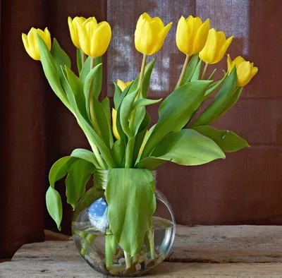 Иллюстрация Тюльпаны в вазе в стиле натюрморт, другое |