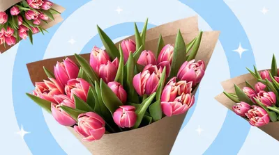 Тюльпан, цветы, эстетика, ваза. | Тюльпаны, Ваза, Фотография натюрморт