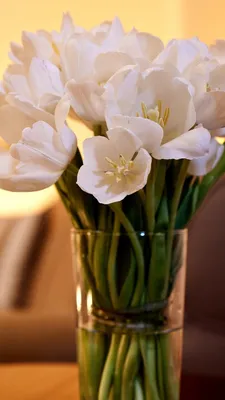 Тюльпаны в вазе :: Надежд@ Шавенкова – Социальная сеть ФотоКто