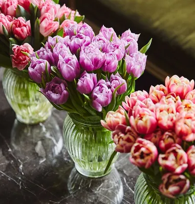 Букет тюльпанов в вазе дома - 79 фото