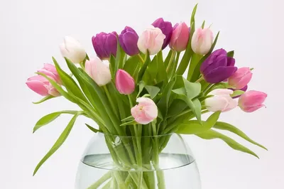 Букет тюльпанов в вазе - 72 фото