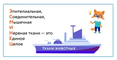 Решено)Задание 4 Параграф 5 ГДЗ Рабочая тетрадь Пономарева 5 класс по  биологии