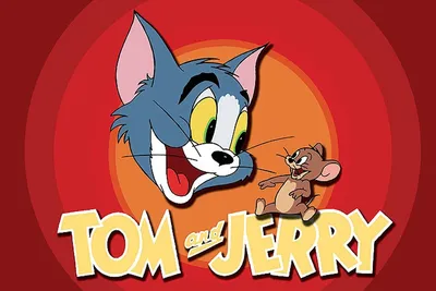 15 любопытных фактов о мультфильме «Том и Джерри» и его создателях - KP.RU