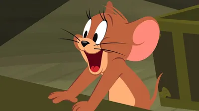 Мультсериал «Шоу Тома и Джерри» – детские мультфильмы на канале Карусель