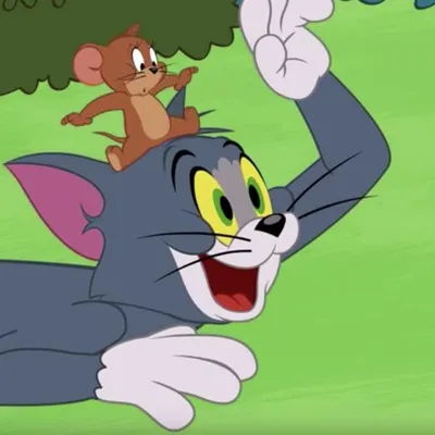 Character Builder: Tom and Jerry by JulioTheInkling on DeviantArt