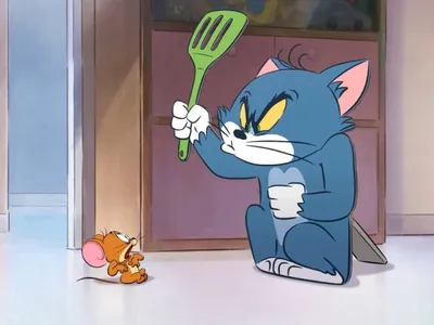 Tom and Jerry PNG Transparent Images Free Download - Pngfre