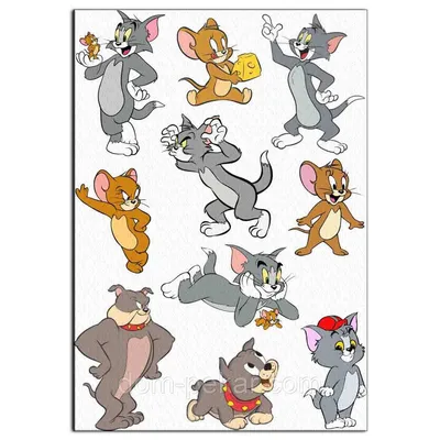 Журналы Tom and Jerry (WB) Коллекция для детей (1-12/21) Том и Джерри 12  номеров купить по цене 749 ₽ в интернет-магазине Детский мир