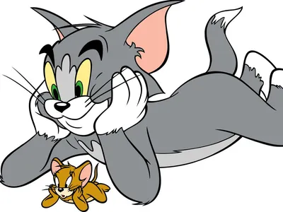 Обои Мультфильмы Tom And Jerry, обои для рабочего стола, фотографии  мультфильмы, tom and jerry, кот, мышь Обои для рабочего стола, скачать обои  картинки заставки на рабочий стол.