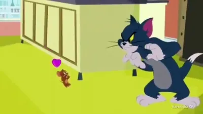 246+ Full HD Tom and Jerry DP | Cute Tom and Jerry DP