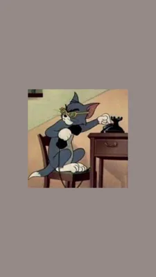 Обои Мультфильмы Tom And Jerry, обои для рабочего стола, фотографии  мультфильмы, tom and jerry, кот, фон, мышка, собака Обои для рабочего  стола, скачать обои картинки заставки на рабочий стол.